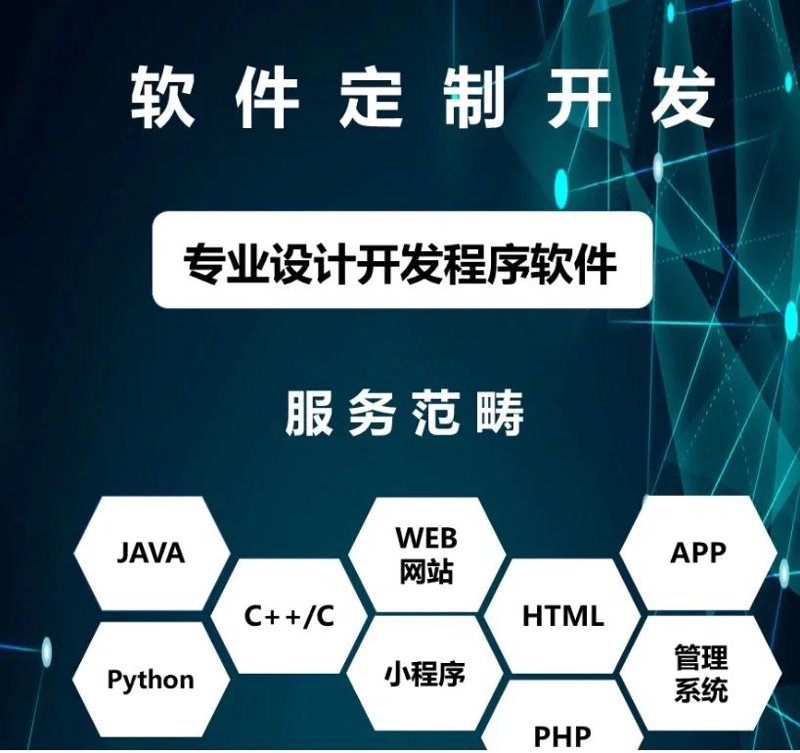 软件定制开发：企业竞争力的新引擎